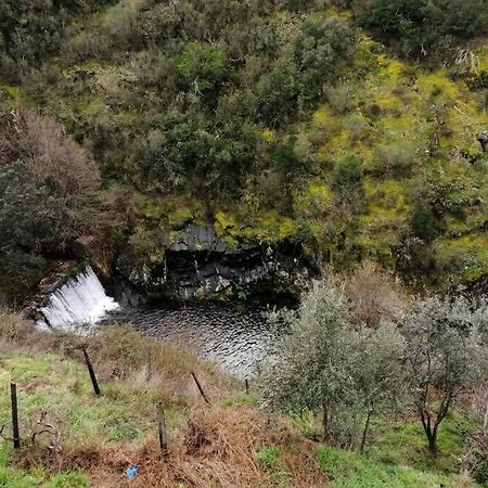 Casa Do Avo Alvaro - Refugio Do Rei Casal do Rei  Εξωτερικό φωτογραφία