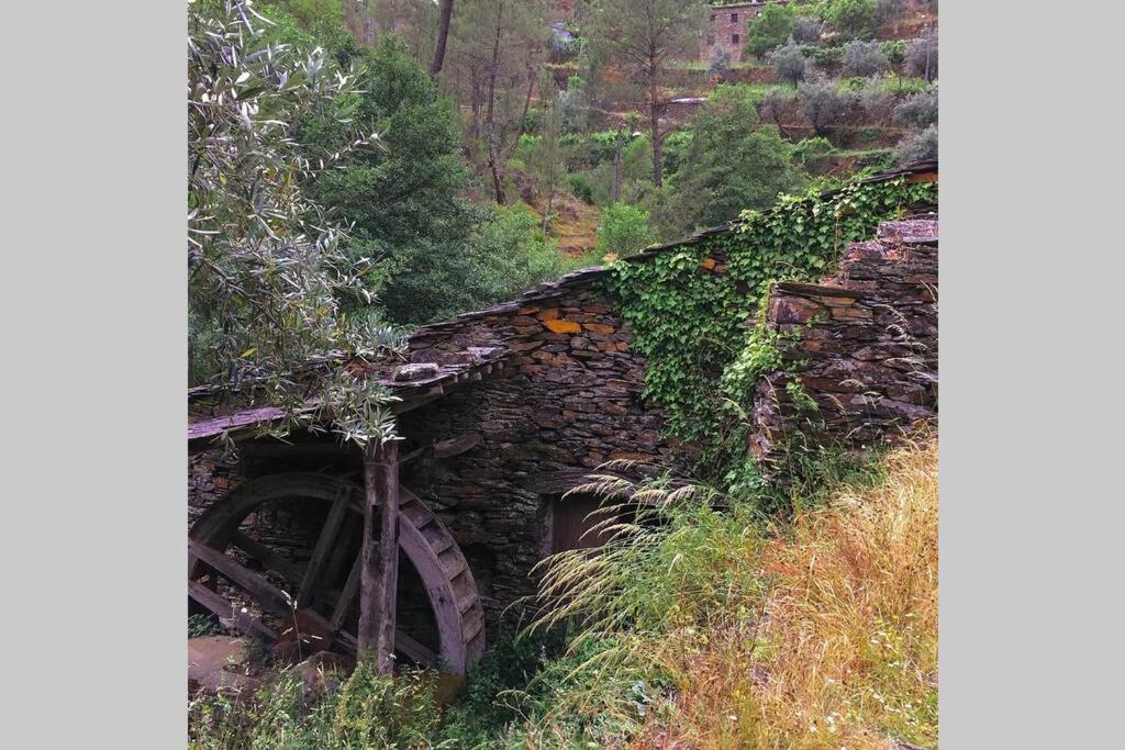 Casa Do Avo Alvaro - Refugio Do Rei Casal do Rei  Εξωτερικό φωτογραφία