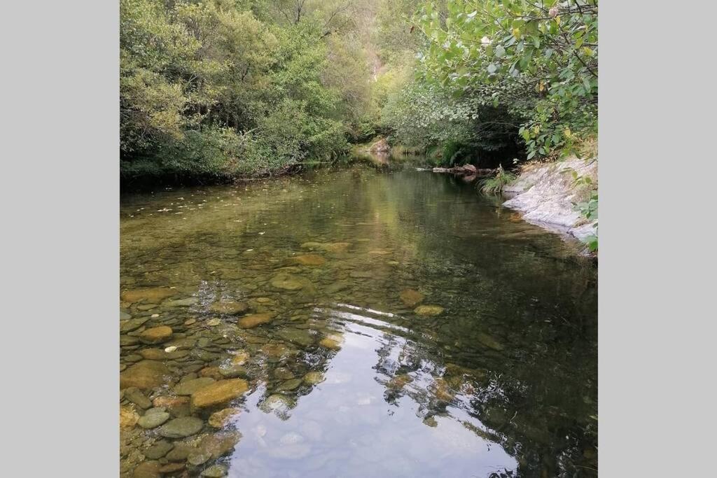 Casa Do Avo Alvaro - Refugio Do Rei Casal do Rei  Εξωτερικό φωτογραφία