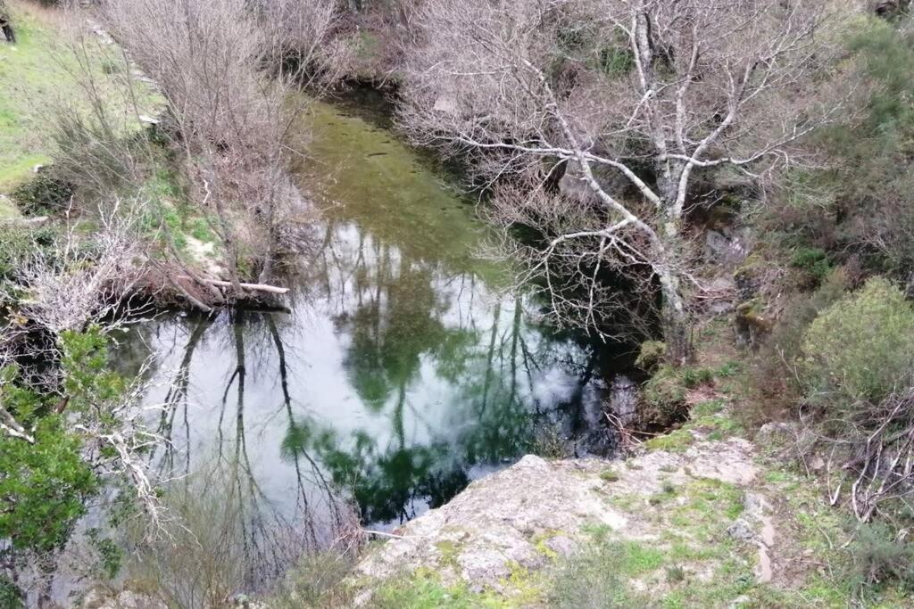 Casa Do Avo Alvaro - Refugio Do Rei Casal do Rei  Εξωτερικό φωτογραφία