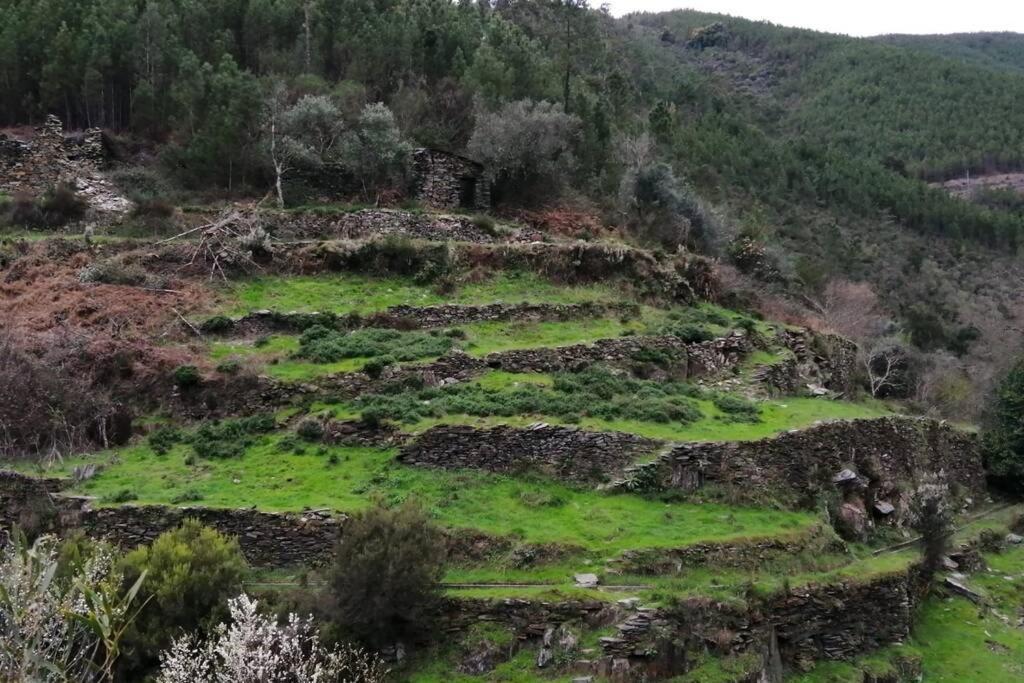 Casa Do Avo Alvaro - Refugio Do Rei Casal do Rei  Εξωτερικό φωτογραφία