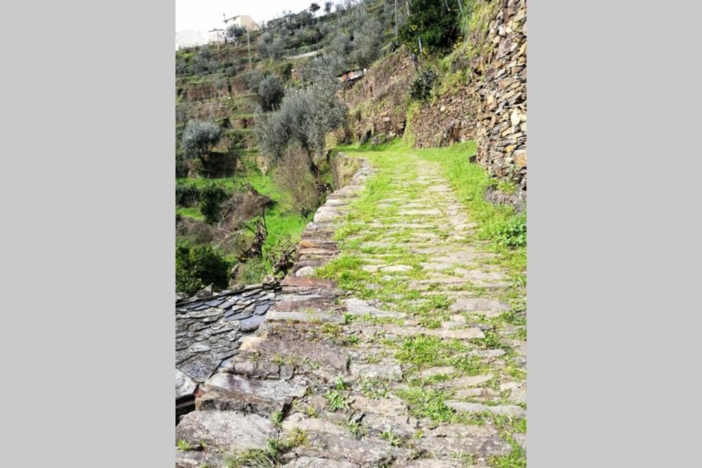 Casa Do Avo Alvaro - Refugio Do Rei Casal do Rei  Εξωτερικό φωτογραφία