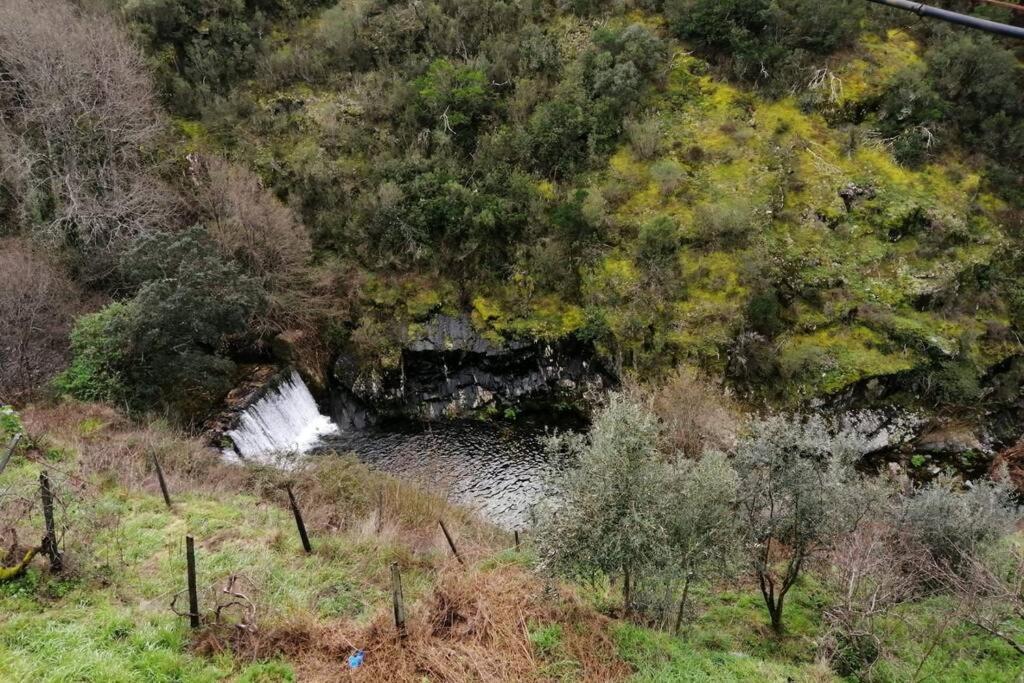 Casa Do Avo Alvaro - Refugio Do Rei Casal do Rei  Εξωτερικό φωτογραφία